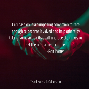 Team Leadership Culture Meme 6