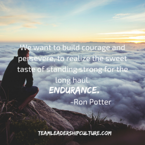 Team Leadership Culture Meme 5